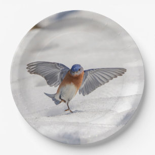 Plato De Papel El pájaro azul oriental bailando en la nieve