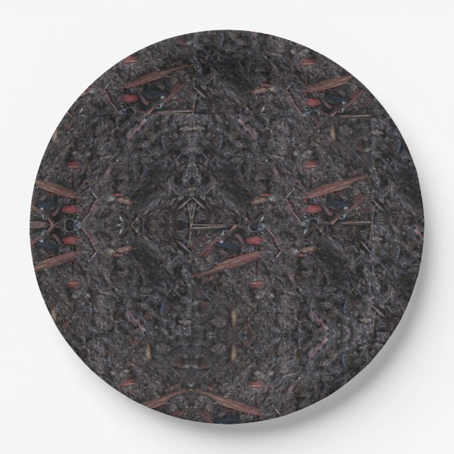 Plato De Papel El suelo de la Tierra (Anverso)