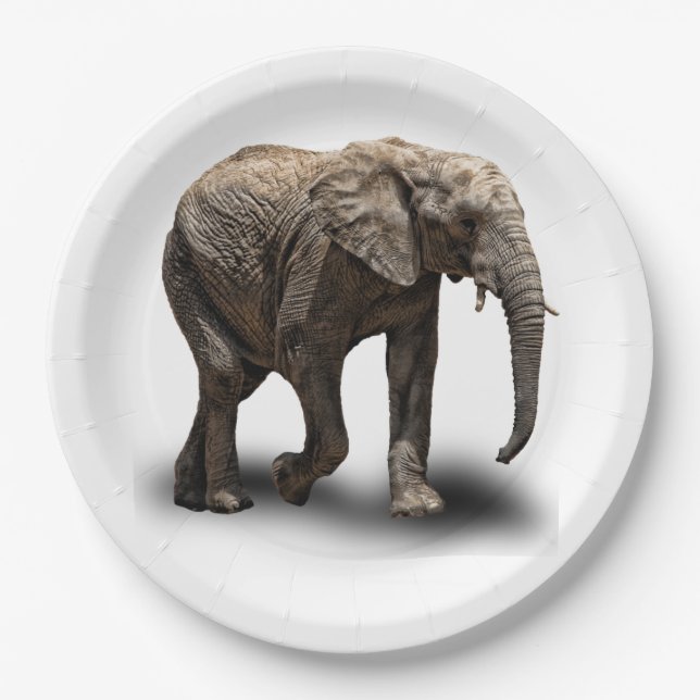 PLATO DE PAPEL ELEFANTE (Anverso)