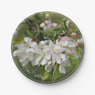Plato De Papel Elegante floral blanca