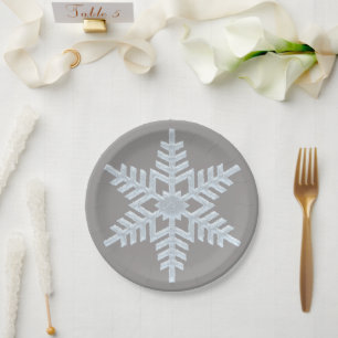 Plato De Papel Elegantes Navidades de gris helado blanco congelad
