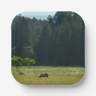 Plato De Papel Elk Meadow en el parque nacional de Redwood