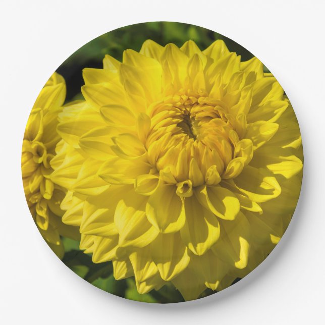 Plato De Papel En el Dahlia Garden 3 (Anverso)