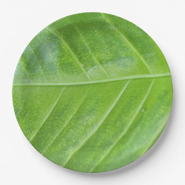Plato De Papel Encantador Diseño de Hojas Verdes de 9 pulgadas re (Anverso)