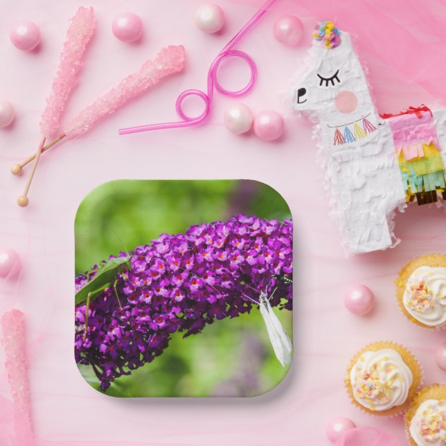 Plato De Papel energía katydid (Fiesta)