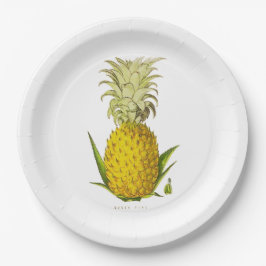 Plato De Papel Énfasis Tropical Piña Ilustracion Vintage Med