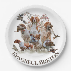 Plato De Papel Epagneul Breton, Bretaña Spaniel