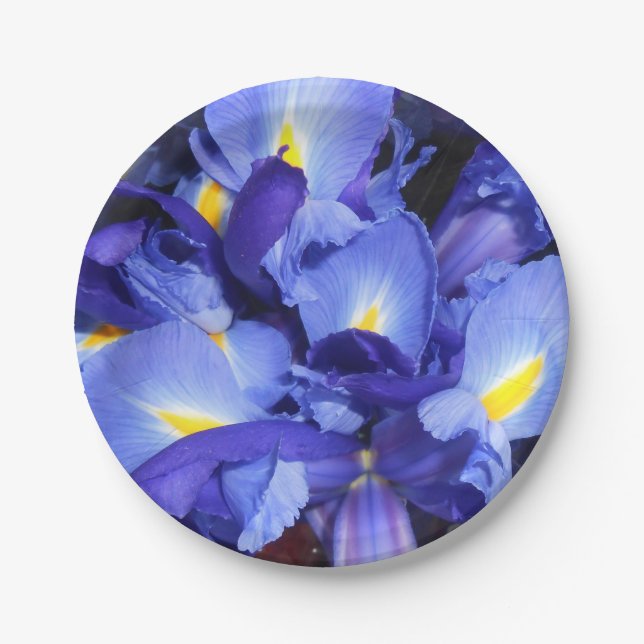 Plato De Papel Ermengarde (Anverso)