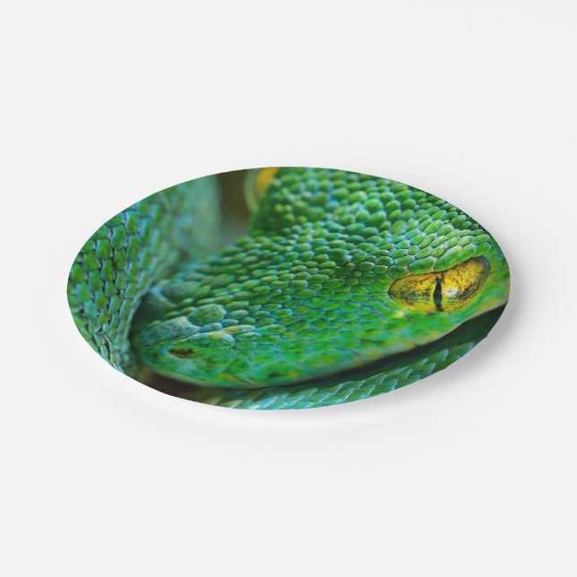 Plato De Papel Escena del árbol (Angular)