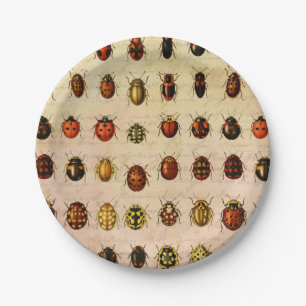 Plato De Papel Espécimen Patrón de Mariquita Vintage Insecto Anti