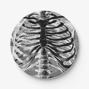 Plato De Papel Esqueleto Antiguo Huesos Torso Cuerpo Halloween
