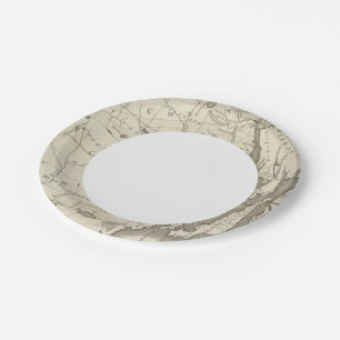 Plato De Papel Estado de Rhode Island
