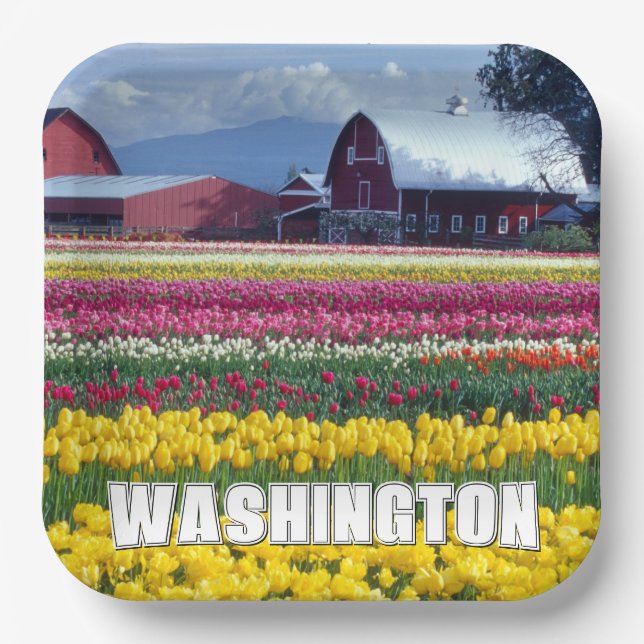 Plato De Papel Estado de Washington | Campo de Tulipanes (Anverso)