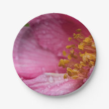 Estambres de flores de camellia rosa