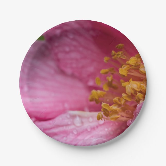 Plato De Papel Estambres de flores de camellia rosa (Anverso)