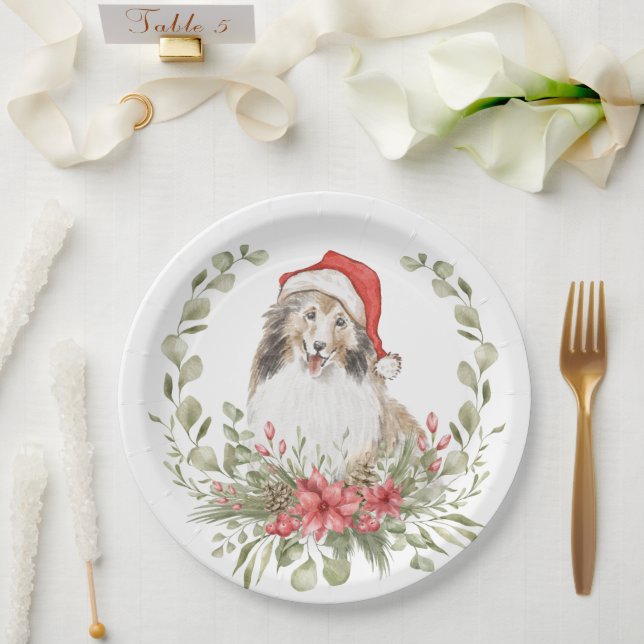 Plato De Papel Estanterías en un Sombrero de Santa (Boda)