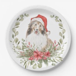 Plato De Papel Estanterías en un Sombrero de Santa