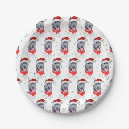Plato De Papel Estrellas de Navidad de la raza de perro Cane Cors