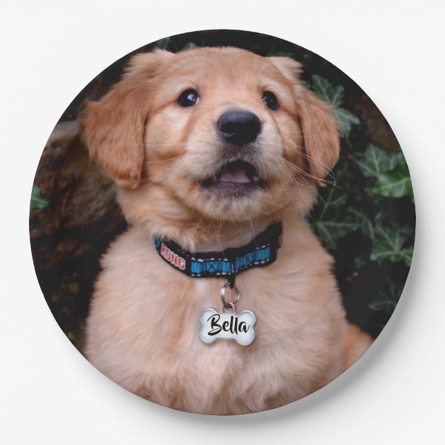 Plato De Papel Etiqueta de nombre personalizada de Golden Retriev (Anverso)