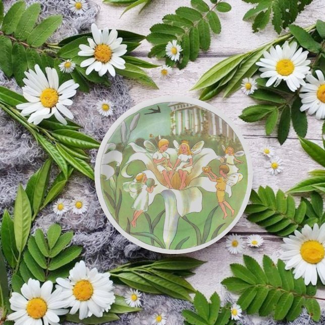 Plato De Papel Fairy Floral Garden Enchanted Forest Chica Birday (Subido por el creador)