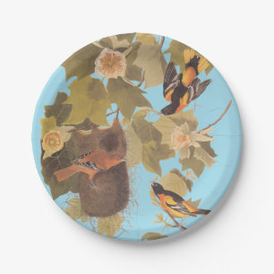 Plato De Papel Familia Baltimore Oriole Audubon con nido