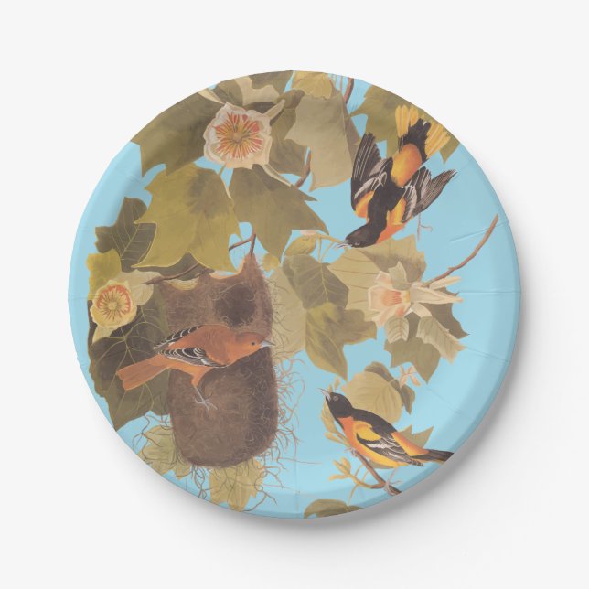 Plato De Papel Familia Baltimore Oriole Audubon con nido (Anverso)