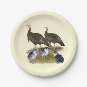 Plato De Papel Familia de pavos salvajes del este