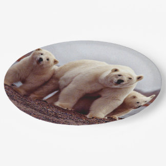 Plato De Papel Familia Oso Polar