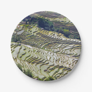 Plato De Papel Famosas terrazas de arroz yuanyang - Yunnan, China