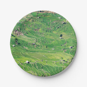 Plato De Papel Famosas terrazas de arroz yuanyang - Yunnan, China
