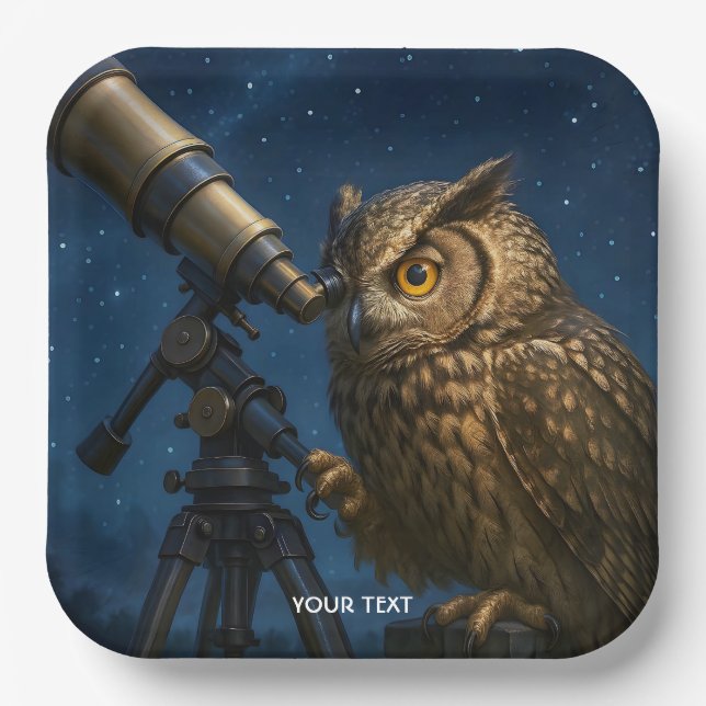Plato De Papel Fantasy Cute Owen Telescope Noche (Anverso)