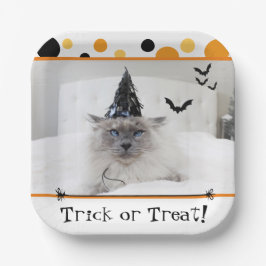 Plato De Papel Fastidioso Gato De Halloween En Gorra De Brujas