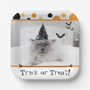 Plato De Papel Fastidioso Gato De Halloween En Gorra De Brujas