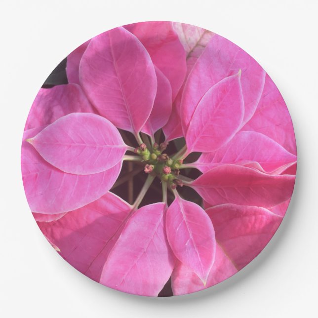Plato De Papel Felices fiestas Poinsettia (Anverso)