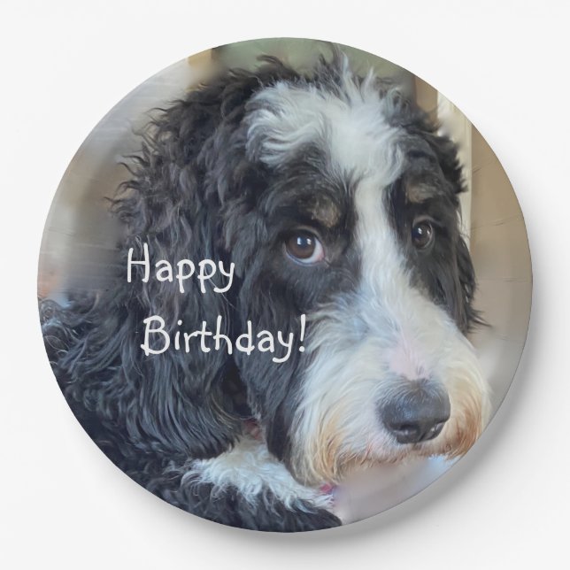 Plato De Papel Feliz cumpleaños Adorable Bernedoodle (Anverso)
