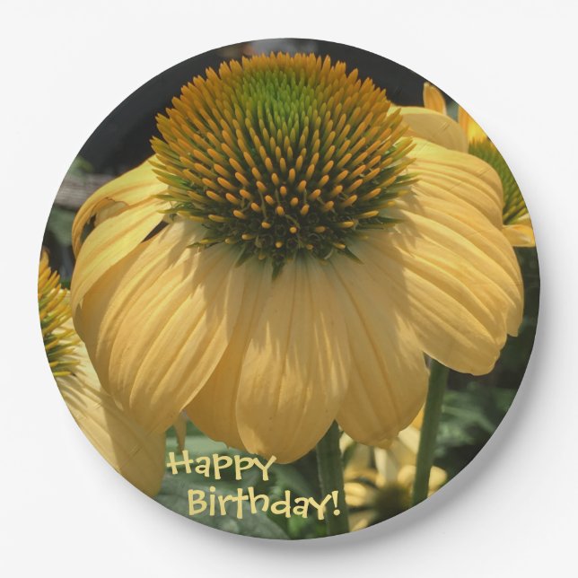 Plato De Papel Feliz cumpleaños Echinacea (Anverso)