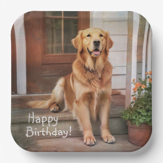 Plato De Papel Feliz Cumpleaños Golden Retriever (Anverso)