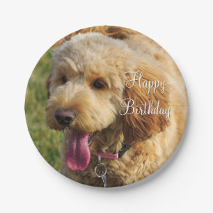 Plato De Papel Feliz cumpleaños Goldendoodle Dog