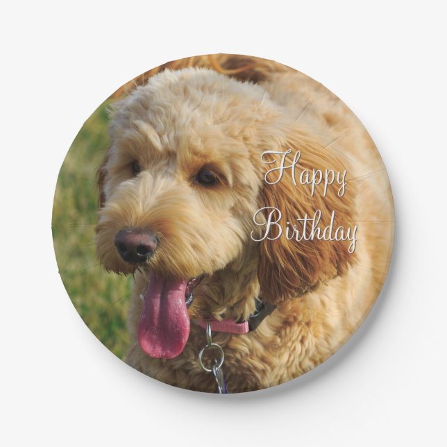 Plato De Papel Feliz cumpleaños Goldendoodle Dog (Anverso)