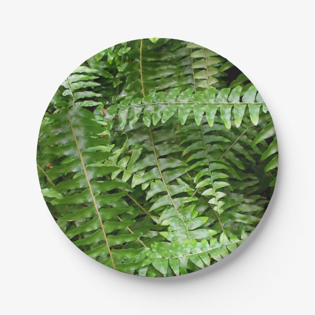 Plato De Papel Fern Fronds I Green Nature (Anverso)