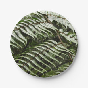 Plato De Papel Fern Fronds II Naturaleza verde oscura