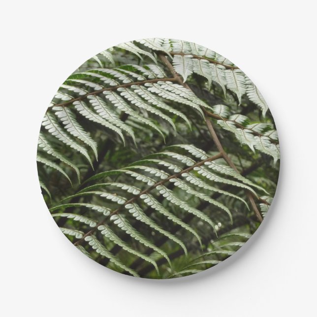 Plato De Papel Fern Fronds II Naturaleza verde oscura (Anverso)