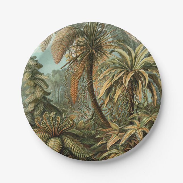 Plato De Papel Ferns Palm Tree Antique Botanica Ferns Art (Anverso)