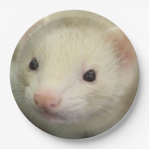 Plato De Papel Ferret face