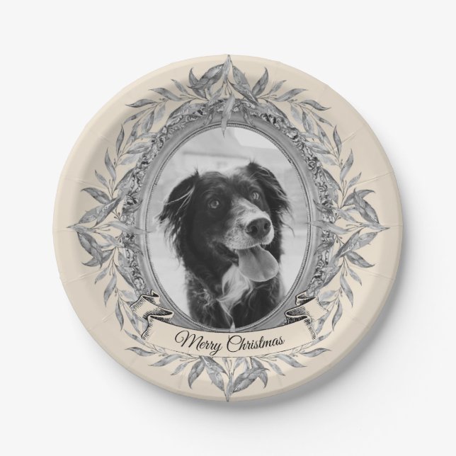 Plato De Papel Festividad Festividad Fotografía de marco plateado (Anverso)