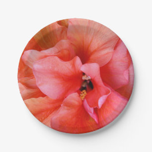 Plato De Papel Fiesta anaranjado rosado coralino de la flor