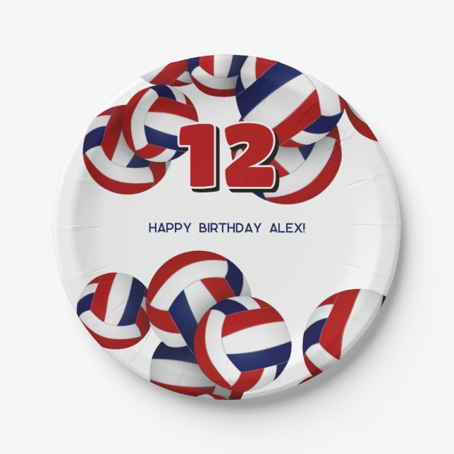 Plato De Papel fiesta de cumpleaños de los chicos de voleibol azu (Anverso)