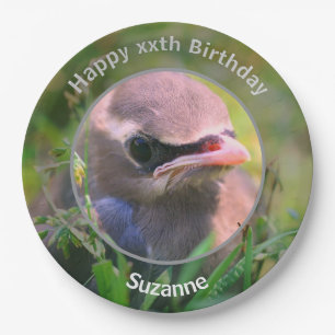 Plato De Papel Fiesta de Cumpleaños Personalizada de Bebé Waxwing