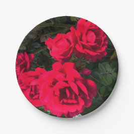 Plato De Papel Fiesta de flores de rosa roja romántica