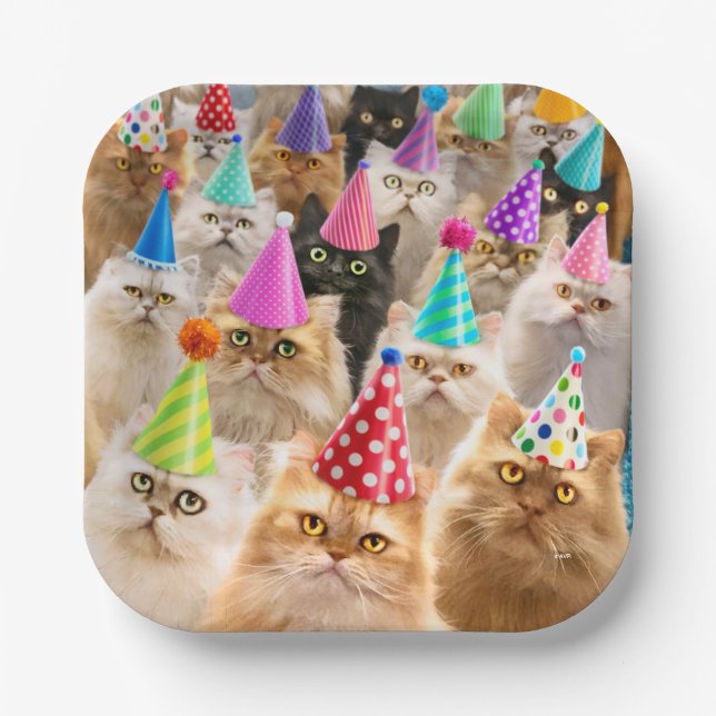 Plato De Papel Fiesta de Gatos (Anverso)